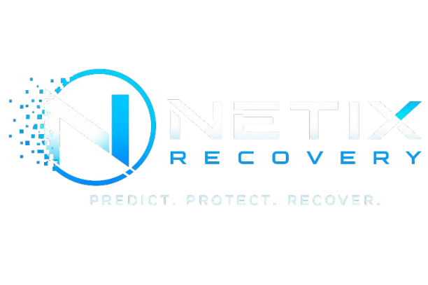 netixrecovery.online